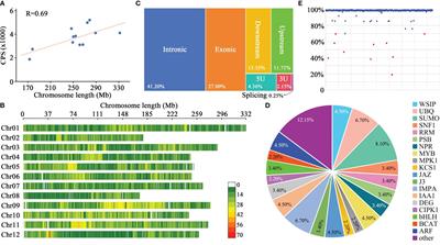 Development of a 45K pepper GBTS liquid-phase gene chip and its application in genome-wide association studies